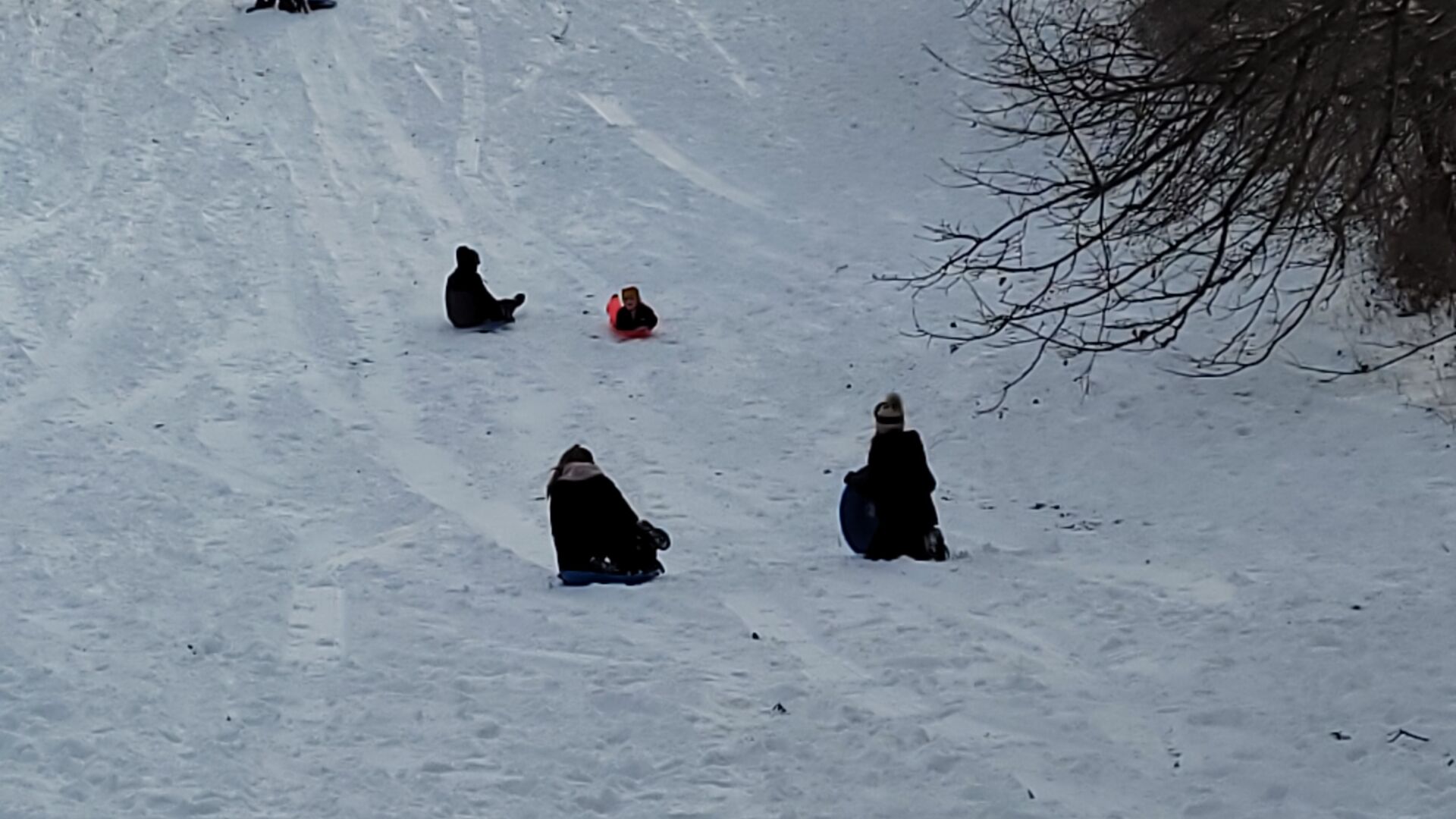 20201230_131418.jpg